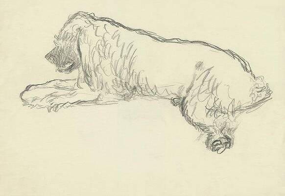 Relaxed Dog Sketch Wall Art