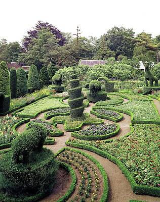 Growth Wall Art featuring the photograph An Ornamental Garden by Tom Leonard
