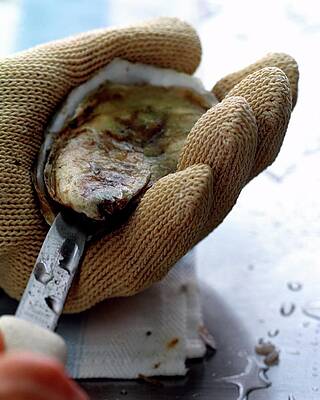 Cook Wall Art featuring the photograph An Oytser Being Shucked by Romulo Yanes
