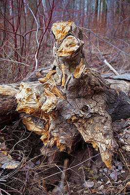 Nature Photograph - Ancient Warrior by Omaste Witkowski