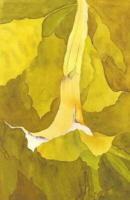 Wall Art featuring the painting Angel Trumpet by Amanda Amend
