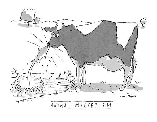 Nose Drawing - Animal Magnetism by Michael Crawford