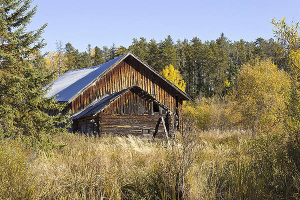 Wall Art featuring the photograph Another Old Homestead by Linda Ryma