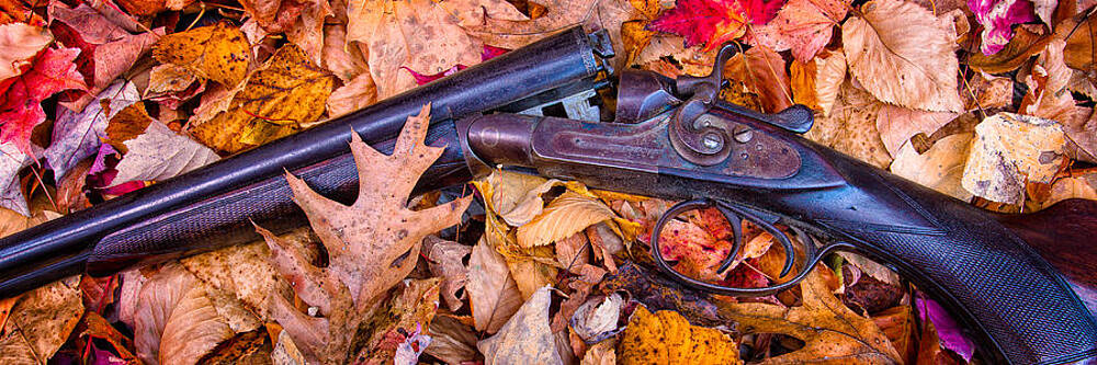 Wall Art featuring the photograph Antique Double by Jeff Sinon