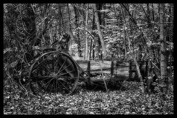 Wall Art featuring the photograph Antique Manure Spreader In The Forest by Jeff Sinon