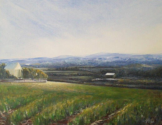 Sky Painting - Aotearoa by Jane See