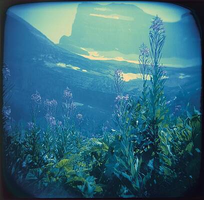 Wall Art featuring the photograph Aquarium Mountain by Carol Whaley Addassi