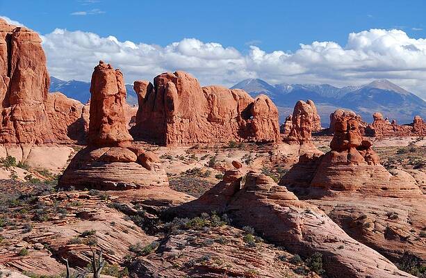 Sky Wall Art featuring the photograph Arches National Park And La Sal Mountain Landscape by Cascade Colors