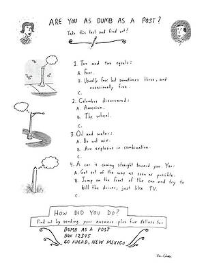 Humorous Intelligence Quiz Wall Art