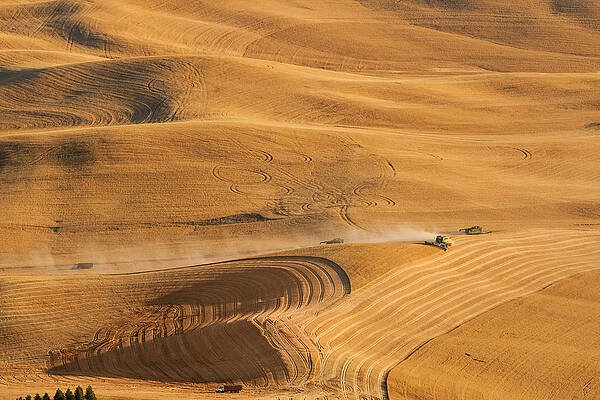 Summer Photograph - As Far As The Eye Can See by Mary Jo Allen