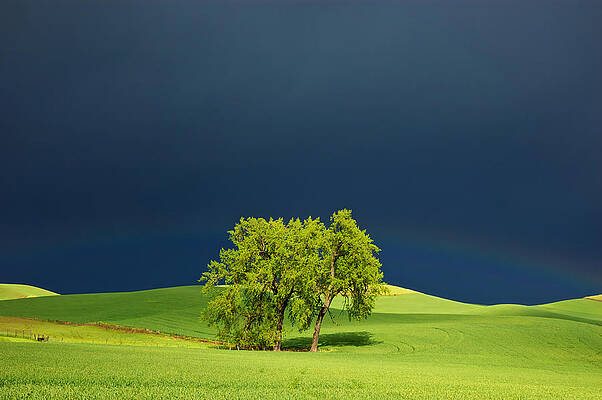 Mary Lee Photograph - As The Sun Returns by Mary Lee Dereske