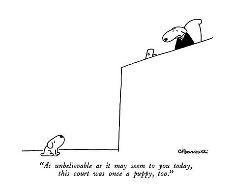 Dog Judge Cartoon Wall Art