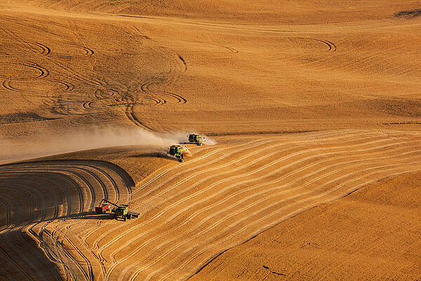 Washington Photograph - At The Point by Mary Jo Allen
