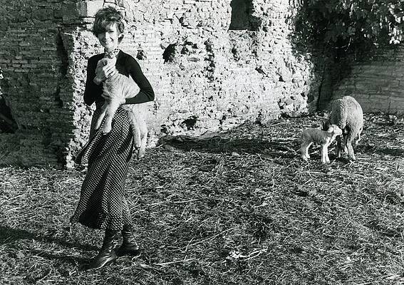 Rural Scene Photograph - Audrey Hepburn On A Farm by Henry Clarke