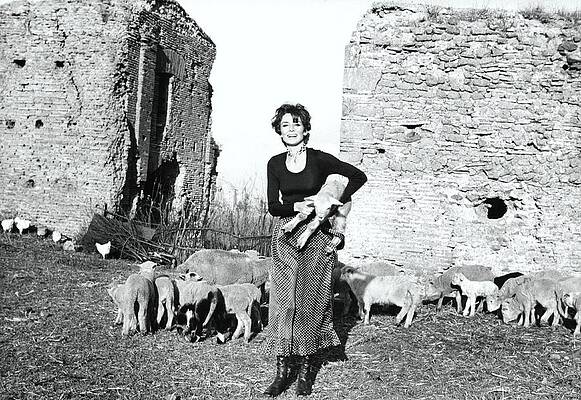 Woman with Lambs by Ruins Photograph