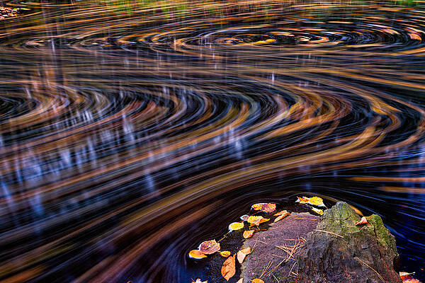 Photograph - Autumn Chaos by Jeff Sinon