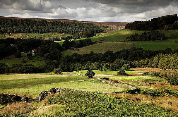Wall Art featuring the photograph Autumn Colours In The North Yorkshire by Dan Kitwood