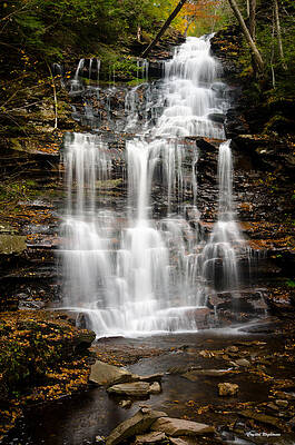 Wall Art featuring the photograph Waterfall At Ricketts Glen by Crystal Wightman