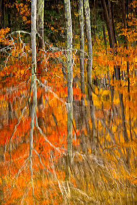 Reflection Wall Art featuring the photograph Autumn Forest Reflection by Jeff Sinon