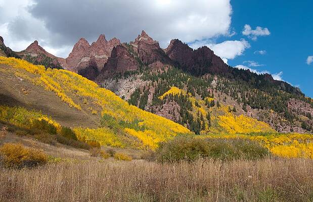 Colorado Photograph - Autumn Grasses And Trees by Cascade Colors