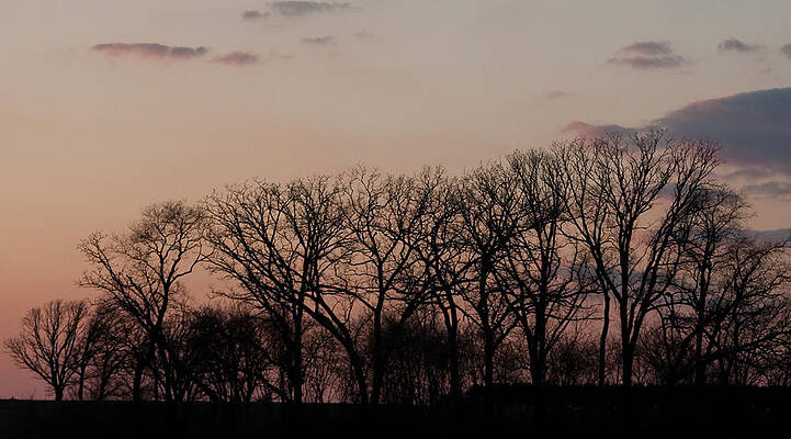 Fall Photograph - Autumn In Wisconsin by Natural Focal Point Photography