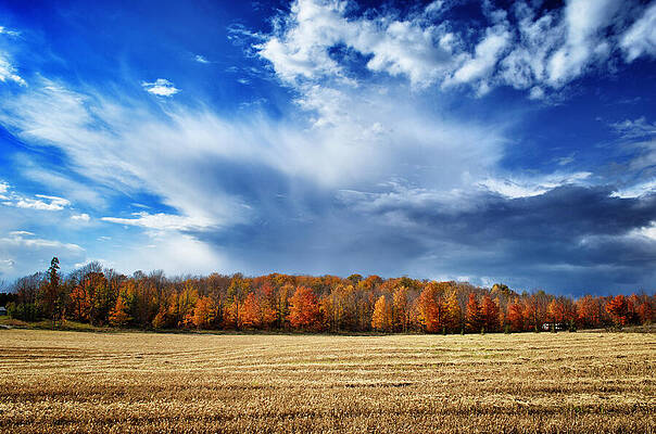Autumn Sky Over Countryside Wall Art