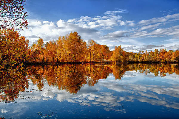 Sky Photograph - Autumn Reflection by Mary Jo Allen