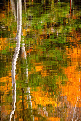 Photograph - Autumn Reflections by Jeff Sinon