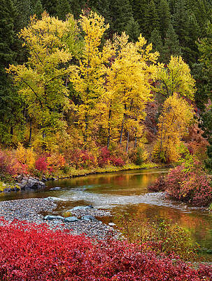 Nature Wall Art featuring the photograph Autumn River by Mary Jo Allen