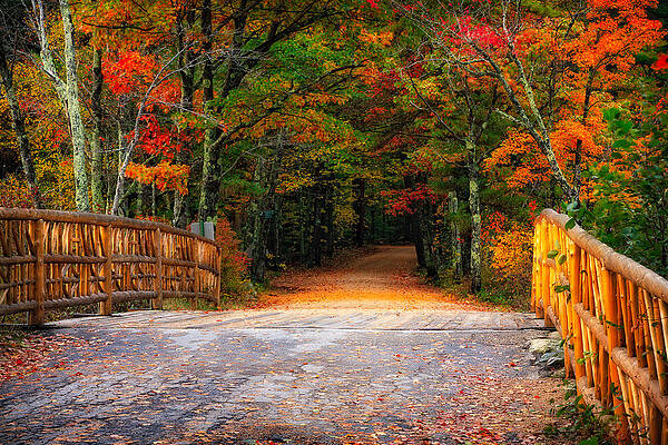 Photograph - Autumn Road by Jeff Sinon