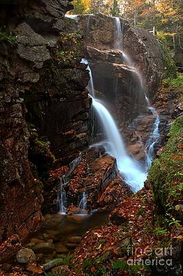 Mountain Wall Art featuring the photograph Avalanche Cascades Into Flume Gorge by Adam Jewell