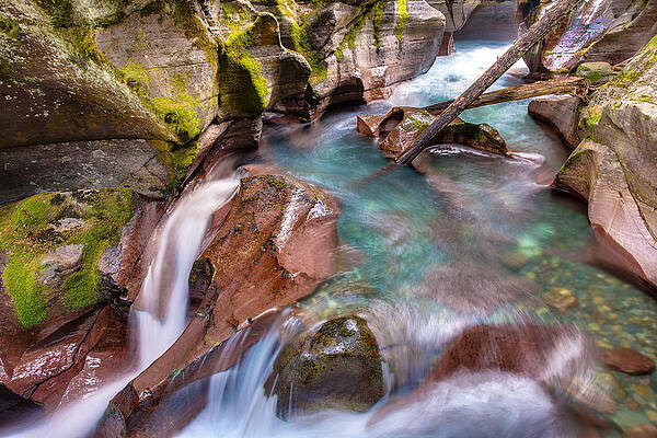 Photograph - Avalanche Gorge 4 Of 4 by Adam Mateo Fierro