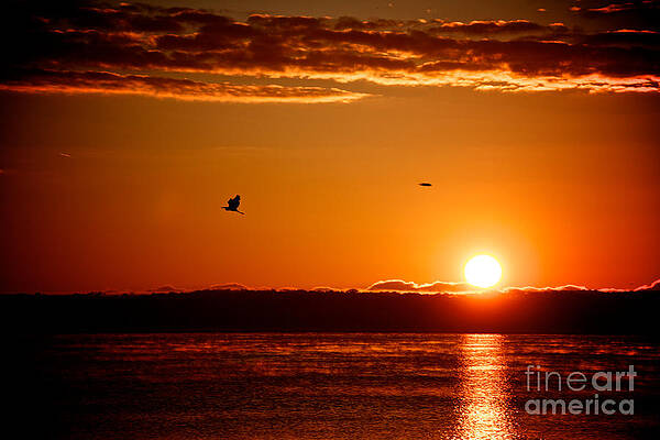 Sunrise Photograph - Awakening Sun by William Norton
