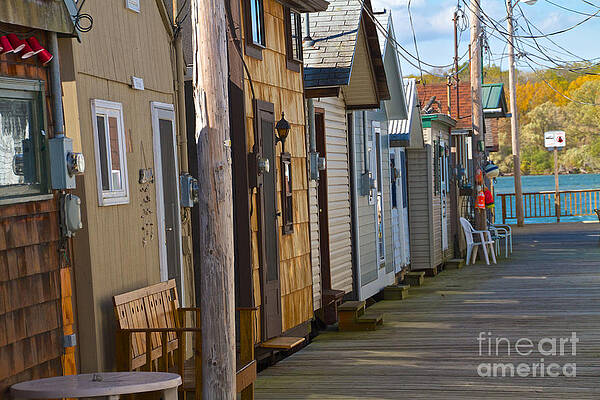 Sky Wall Art featuring the photograph Back Doors by William Norton