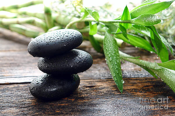 Balance  by Olivier Le Queinec