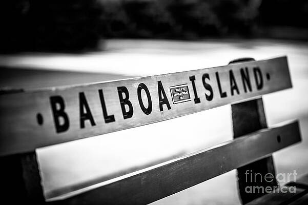 California Wall Art featuring the photograph Balboa Island Bench In Newport Beach California by Paul Velgos