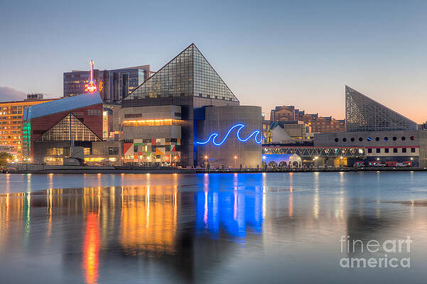 Baltimore Harbor Skyline at Dusk Wall Art