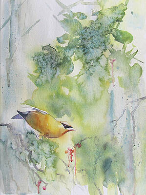 Wall Art featuring the painting Cedar Waxwing by Amanda Amend