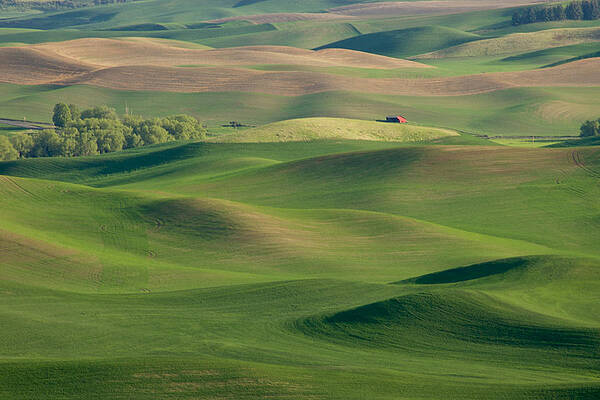 Mary Lee Photograph - Barn Among The Contours by Mary Lee Dereske