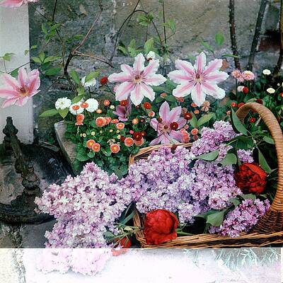 Basket of Vibrant Spring Flowers Photograph