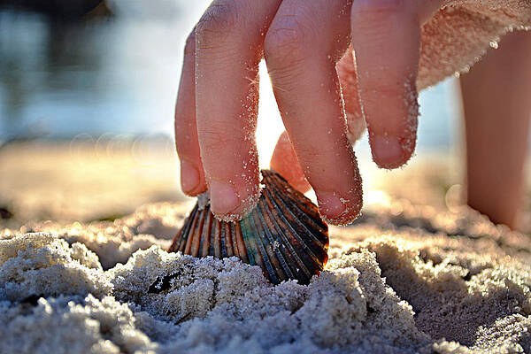 Serene Wall Art featuring the photograph Beach Play by Laura Fasulo