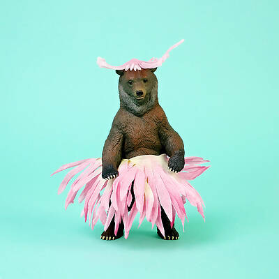 Bear in a Hula Skirt Wall Art