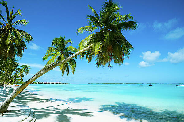 Tropical Islands Wall Art - Photos.com