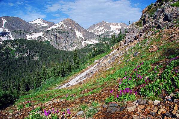 Colorado Photograph - Beautiful Colorado Mountain Summer by Cascade Colors