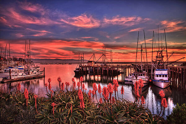 Marina at Sunset with Boats Photograph