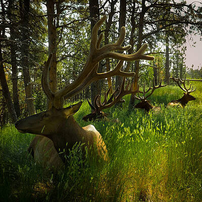 Tree Photograph - Beautiful Herd by Carla E