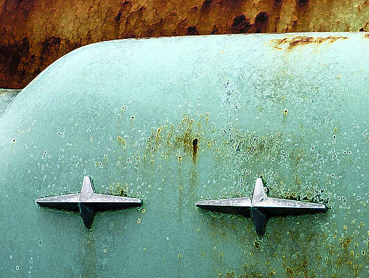 Abstract Photograph - Beauty With Age by Jean Noren