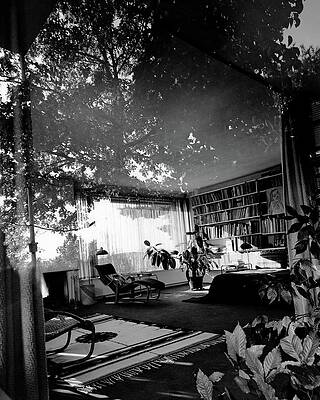 Serene Room with Tree Reflection Photograph