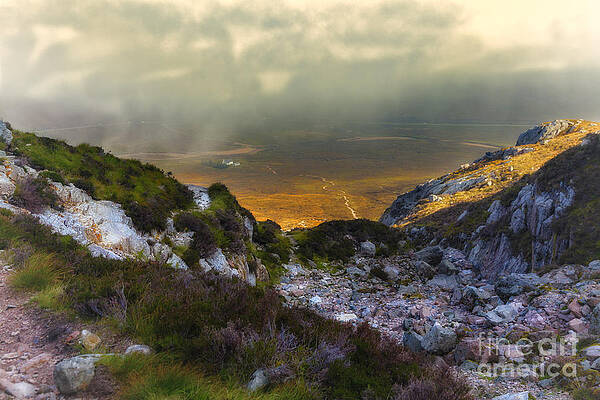 Peaceful Wall Art featuring the photograph Below The Mist by Kype Hills