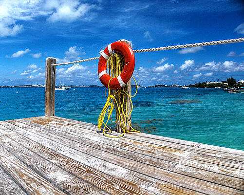 White Photograph - Bermuda Lifebelt Bite by Richard Reeve